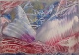 by Anne MacFarlane