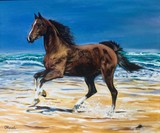 by Olga Koval