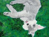 by Catherine Sandell