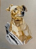 by Catherine Sandell