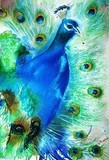 by Betty Pinkston