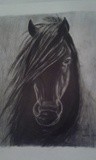 by Davor Hlatkij