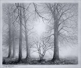 by Sher Richardson