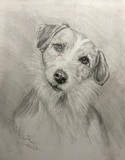 by Sheila  Fleming 