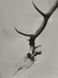 by Monica Burtley