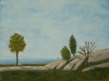 by c.s. viator
