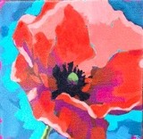 by Jennifer Dominy