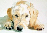 by Yvonne Carter