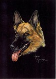by Anne Kelty