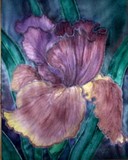 by Tanya Antimirova