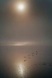 by Don Roberts
