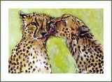 by Gina Hall