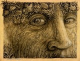 by Christy Babrick