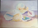 by Belinda Balaski