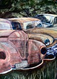 by Timothy McAninch