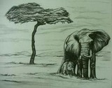 by ryan campbell