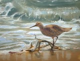 by Lynne Chrapliwy
