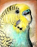 by Terri Walker