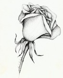 by Sarah Lindley