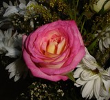 by Susan G 