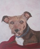 by Cathie Brock