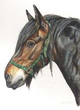 by Christine Hilditch