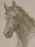 by Michael Cornett