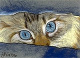 by Jennifer Redstreake