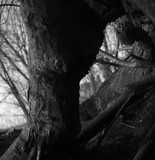 by Evan Barrett