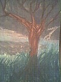 by Rachel Scott