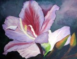 by donald penwell