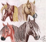 by Mylinda Crane
