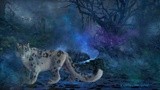 by kiddolucas lee