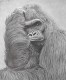 by Jo-Jo Kolodnicki, Jr.