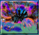 by Barry Huyett