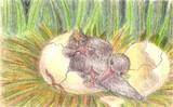 by Linda Haviland