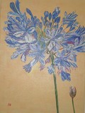by Liz Robinson