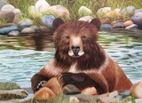by Sandy Dewar