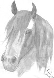 by Keisha Acrey