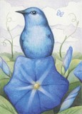 by Amy Turner