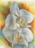 by Barbara Keith