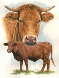 by Barbara Keith