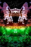 by TOMMY  BEAVER