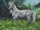 by paula dudzik