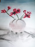 by manda bunjevac