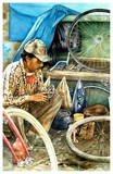 by Toro Lagi
