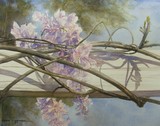 by Susan Kennedy