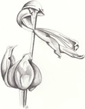 by Claire Bartle