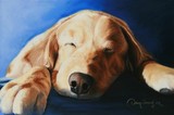 by Dawn Secord