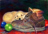 by aleta gudelski